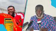 Eyewitness narrates how former Minister reportedly 'caused' the death of Kotoko fan Nana Pooley