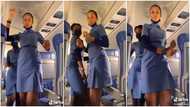 Beautiful female flight attendants dance cutely with their waists in aeroplane, their video stirs reactions