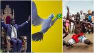 Peace Council wades into Agyinasare-Nogokpo saga: Starts process to resolve impasse
