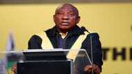 S.African panel named to probe Ramaphosa over farm heist