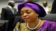 Ex-OPEC president Diezani Alison-Madueke charged with bribery: UK police