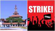 Pressure intensifies on govt as UG senior staff declare strike over COLA