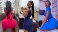 See wild twerking videos of lady who has bigger curves and twerks better than Hajia Bintu