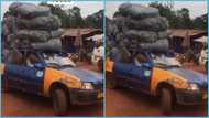 Ghanaian driver fills taxi with 50 bags of charcoal to the market: “I pity the car owner”