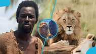 Ebo Noah shares tense moment with lions during safari adventure abroad