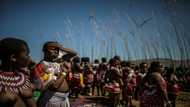 S.African virgins to dance for new Zulu king amid succession row