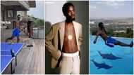 Black Sherif: Ghanaian Musician Dives Into Pool Full Of Dolphins; Peeps Fall In Love