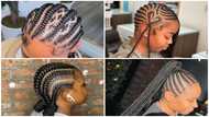 15 stunning stitch braids style ideas for your next hairstyle (with photos)