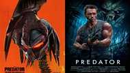 Predator movies: What is the chronological order of watching the films?