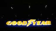 Authorities raid Goodyear sites in Europe over burst tyre deaths