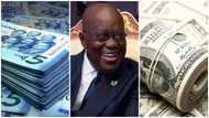 Ghanaian cedi moves from worst to best performer against US dollar