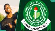 JAMB 2024 high performer: Man shares student's stellar 356 score in UTME