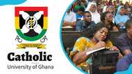 Catholic University College of Ghana requirements and courses offered
