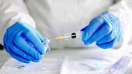 If you don’t take the COVID vaccine you become a problem to yourself – GHS