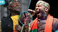 Legendary reggae musician Jimmy Cliff passes away at 81