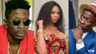 Musician confesses to sleeping with Shatta Wale while he was with Michy in new video