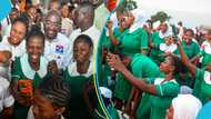 "Woefully inadequate": Trainee nurses still crying after Bawumia's assurances on allowances