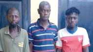 65-year-old man, 2 others busted after attempting to sell human parts for GHC30k