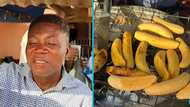 Ghanaian man sells roasted plantain for 20yrs to cater for his family: "A caring father"