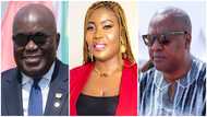 Akufo-Addo must apologise to Mahama over IMF – Rachel Appoh