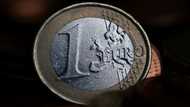 Euro knocked by European vote uncertainty