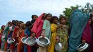 Climate-fueled hunger more than doubles in worst-hit countries: report