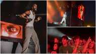 Black Sherif gets obroni folks screaming and dancing during performance in Belgium