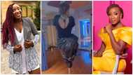 Video of Naa Ashorkor swinging her body on a pole like an 'exotic dancer' gets many talking
