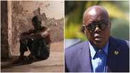 James Town resident thrown in police cells for allegedly insulting Akufo-Addo in viral video