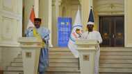 Chad and Niger vow to revive West Africa's anti-jihadist force