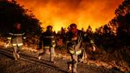 France gets help from EU neighbours as wildfires rage