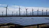 'Not a lab experiment': climate tech CEO on green innovation