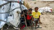 Yemen truce deadline approaches as wait for peace drags on