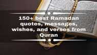 150+ best Ramadan quotes, messages, wishes, and verses from Quran