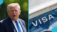 5 US work visas foreigners can use to qualify for permanent residency