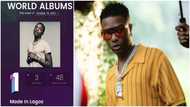 Nigerians react as Wizkid’s Made in Lagos tops Billboard’s world album chart, Essence enters #10 in Hot 100