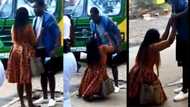 Video of woman kneeling to beg a man in public elicits reactions online