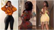 Video captures Hajia Bintu flaunting belly piercing as she bounces her hips; men drool