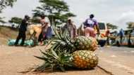 Del Monte guards in Kenya accused of beatings, rapes, killings