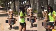 Shoemaker wows lady as he uses his wooden box to entertain her with sweet beats in video