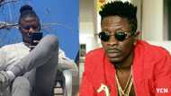 “Get down and come here” - Shatta Wale orders Stonebwoy from moving trotro; he reacts