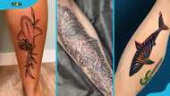 20 beautiful shark tattoo ideas and designs you should check out