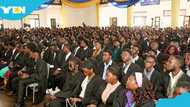 University admissions: Narcotics Control Commission pushes for mandatory drug tests