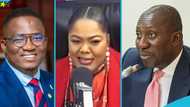 NDC MP chides Minority in Parliament over their penchant for walkouts: "You will soon go to Auntie Naa"