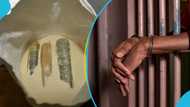 "Huge haul": Ghanaians in UK found guilty of smuggling £4.3 million worth of narcotics in gari