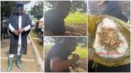 John Dumelo: Humble Ghanaian Actor Visits Farm And Eats Aboloo; Folks Pleased