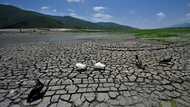 'Desperate for water': drought hits Mexican industrial powerhouse
