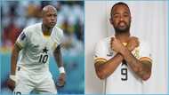 Dede Ayew: Black Stars player makes first appearance online after game against Mali