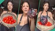 Nigerian lady displays pepper and tomatoes she bought for N7,000, people react to trending video