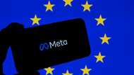 Meta to allow European users to share less data: EU